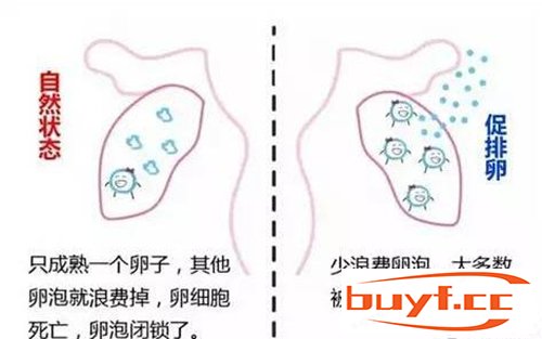 排卵药有哪些(有促排卵的药吗)