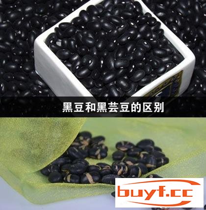 黑豆和黑芸豆的区别在哪?(黑芸豆是黑豆吗)