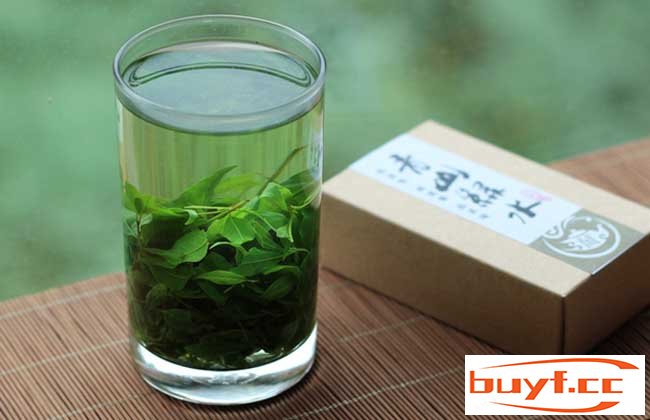 小叶苦丁茶属于什么茶(小叶苦丁茶图片)