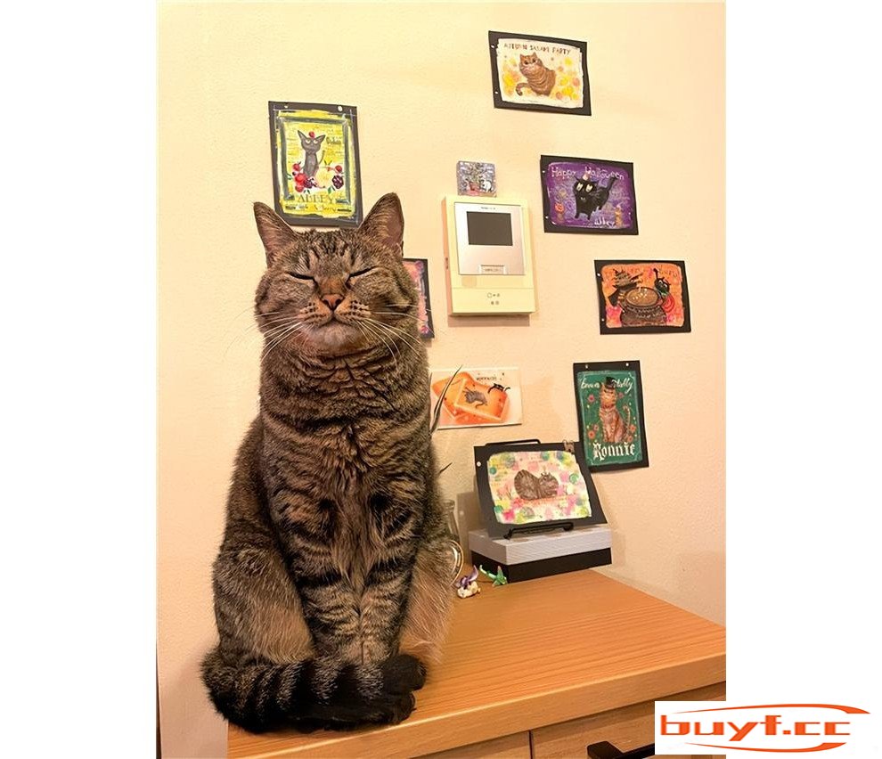 日本铲屎官给不同猫咪拍照画画，然而遇到黑猫后，直接画风突变哇