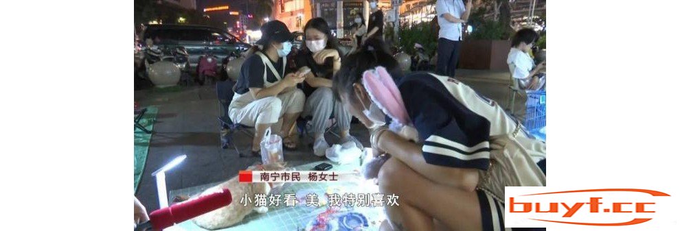 猫咪“摆烂式”营业走红！女子记录摆摊日常吸粉无数