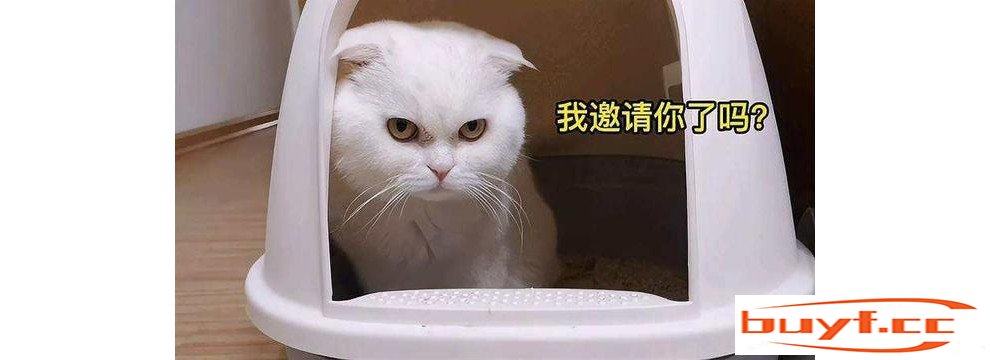 盘点猫咪“社死”瞬间，隔着屏幕都感觉到尴尬