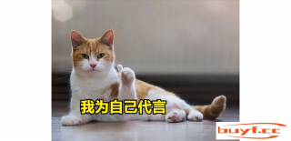 想养“通人性”的猫咪，就选这4种吧，每一只都很懂事 (什么猫通人性,家养比