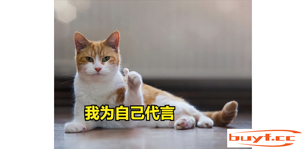 想养“通人性”的猫咪，就选这4种吧，每一只都很懂事