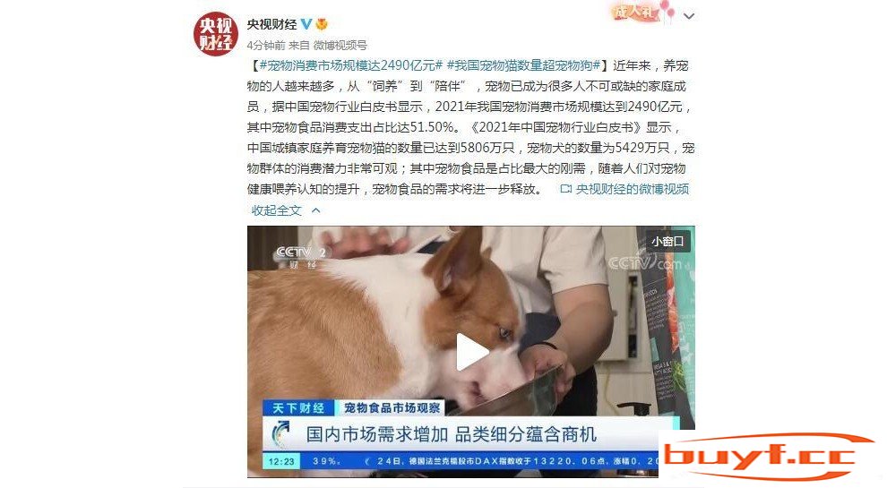 宠物消费市场规模达2490亿元 我国宠物猫数量超宠物狗