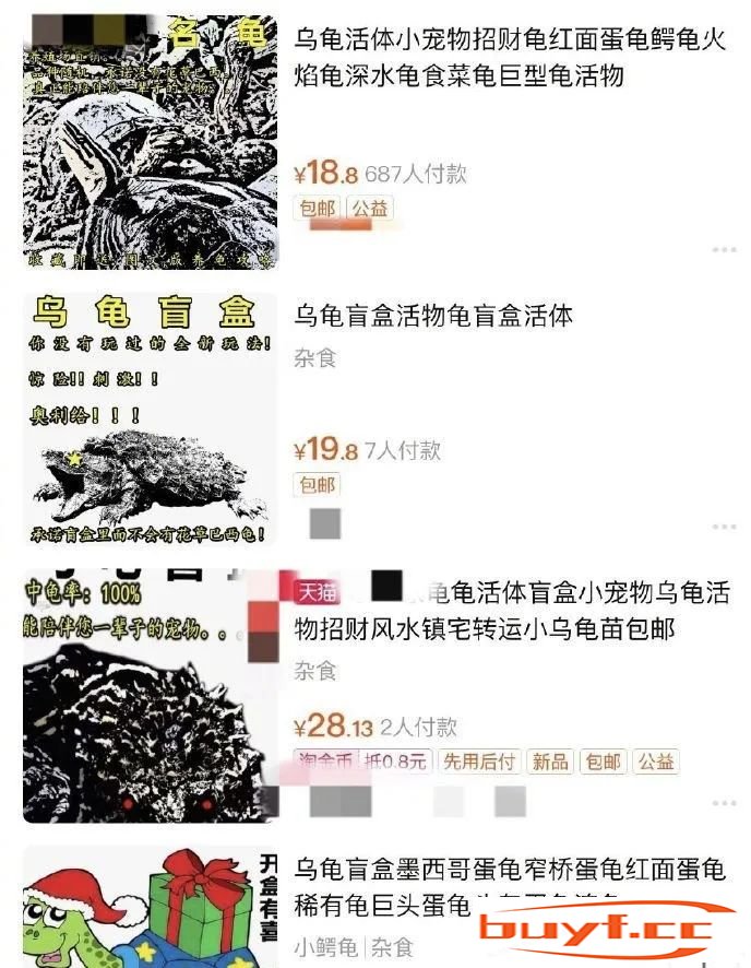 一地发现百余猫狗“宠物盲盒”，已被动检部门暂扣