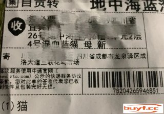 一地发现百余猫狗“宠物盲盒”，已被动检部门暂扣 (猫狗宠物盲盒事件)