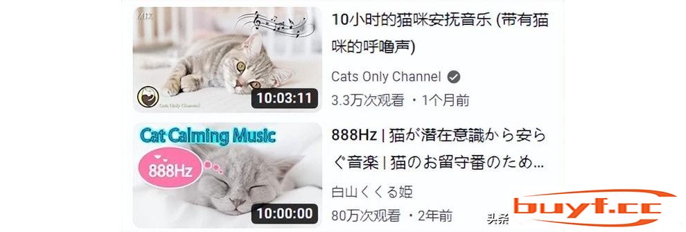 猫咪总是闷闷不乐，会不会是抑郁了？