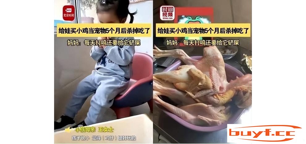 吃掉孩子宠物？孩子眼泪岂是流量密码