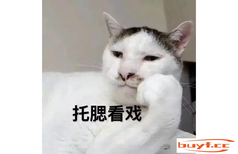 猫咪被你“养熟”，会有这些特征，藏也藏不住