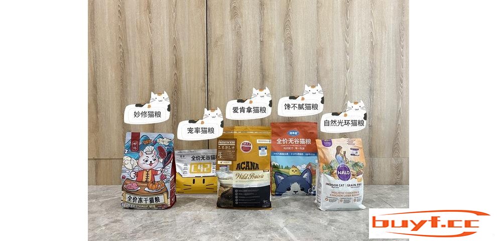 猫咪记恨的几种“惩罚”方式，主人用一次，猫咪伤心一次