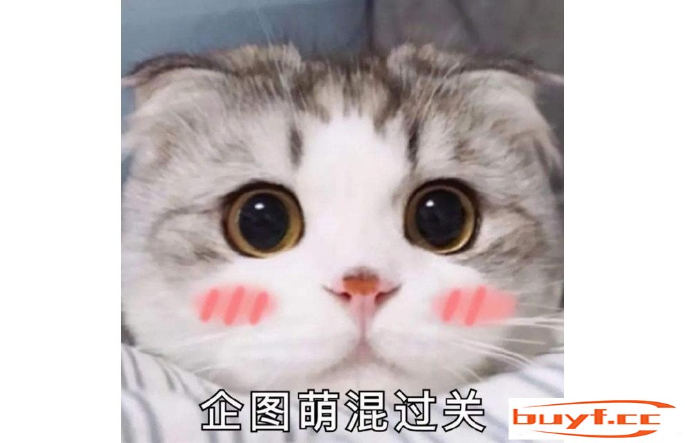 猫咪有这6个特点，证明是好猫，没养错