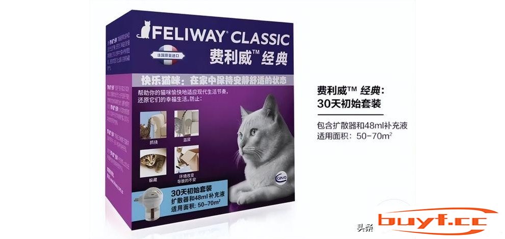 猫咪总是闷闷不乐，会不会是抑郁了？