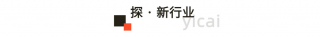 “容貌自傲”怎样影响消费？宠物经济有多年夜的成长空间？随着巴菲特学投资