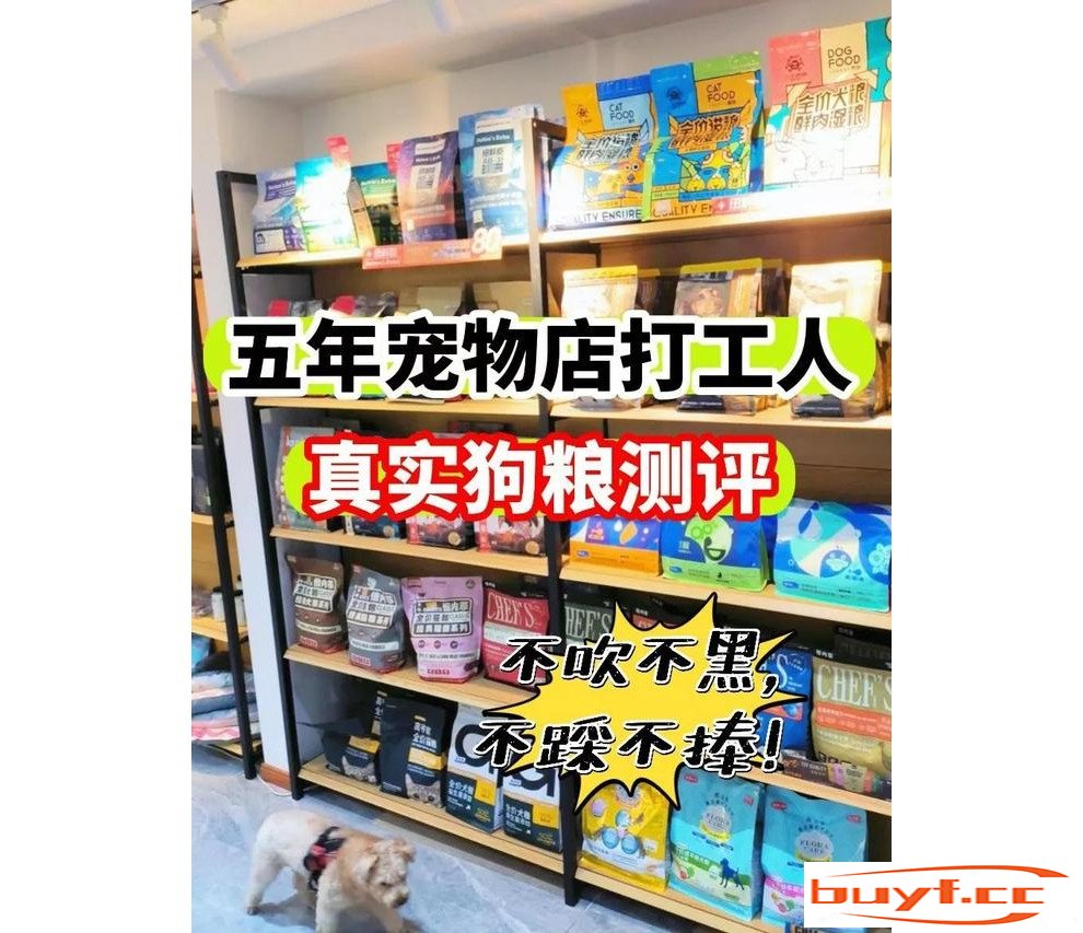 五年宠物店打工人狗粮真实测评