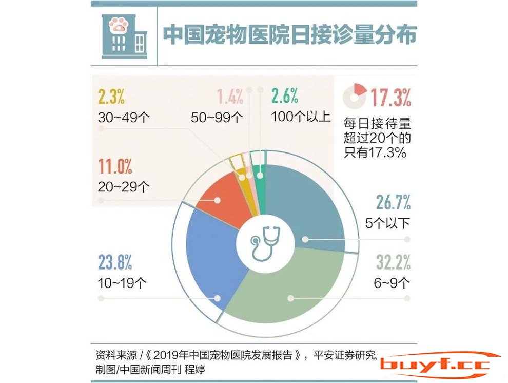 因为看病贵，他们放弃了自己的宠物