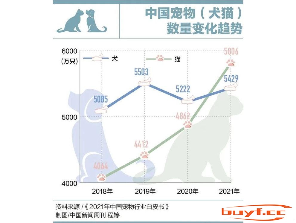 因为看病贵，他们放弃了自己的宠物