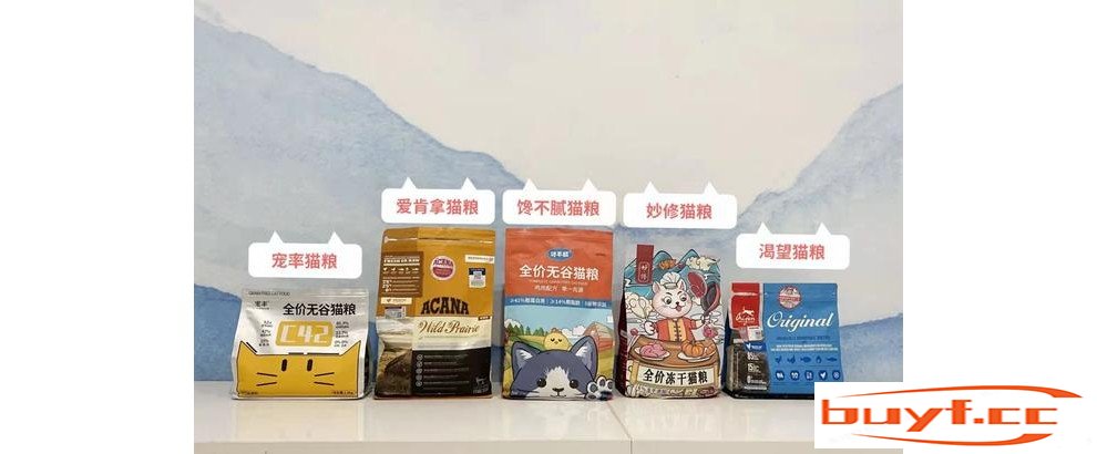 细数常见的14种猫咪，你认得几种？