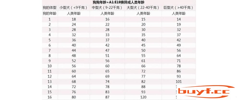 狗狗出现7个特征，说明它已经老了，好好珍惜吧