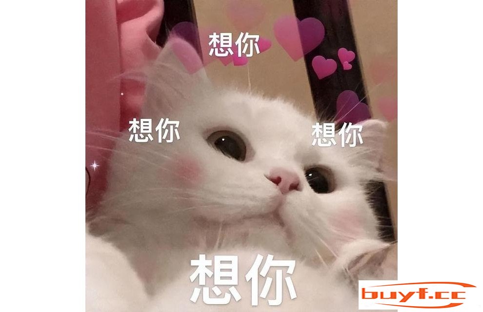 男生为何更受猫咪的“喜爱”？理由令人无法反抗