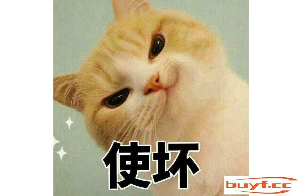 猫咪把你当什么？看它的这些行为，就知道了