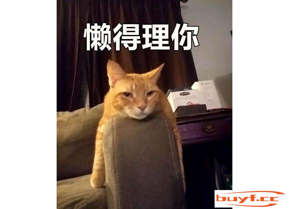 猫咪把你当什么？看它的这些行为，就知道了