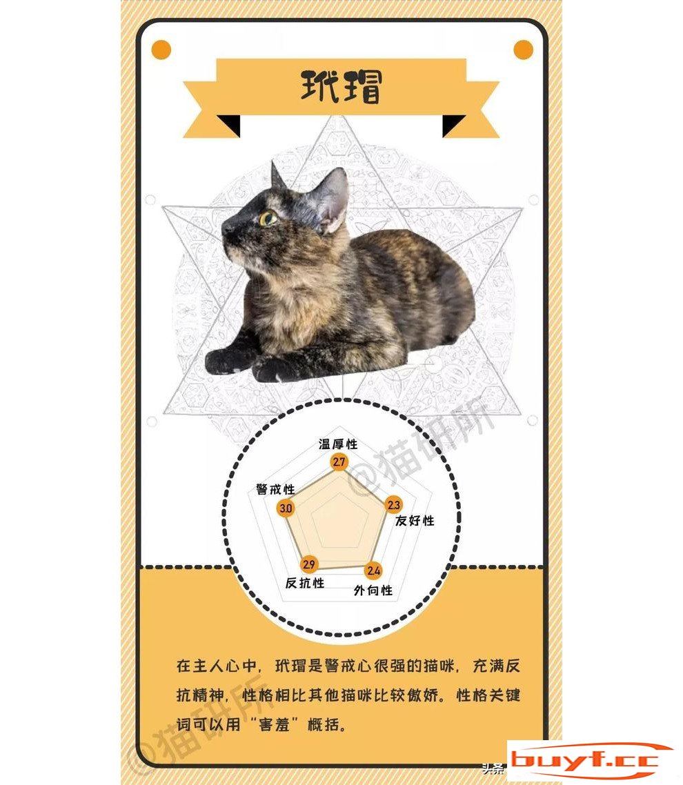 橘猫老好人，奶牛小吃货，不同毛色的猫咪都是什么性格？