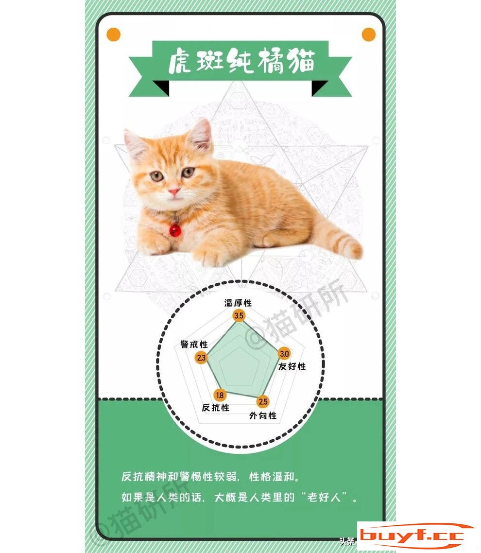 橘猫老好人，奶牛小吃货，不同毛色的猫咪都是什么性格？