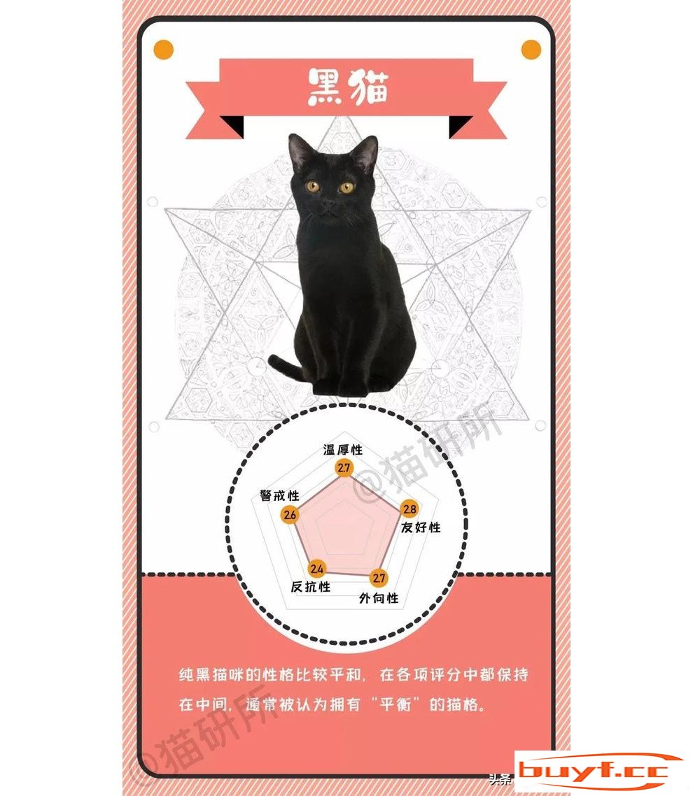 橘猫老好人，奶牛小吃货，不同毛色的猫咪都是什么性格？