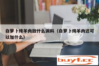 白萝卜炖羊肉放甚么调料（白萝卜炖羊肉还可以加甚么）