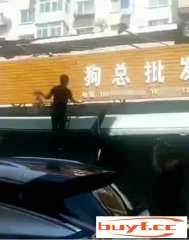 沈阳男女暴力抓狗被曝光后，四家狗肉店相继关门…(沈阳开始抓狗了吗)