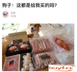 狗子：这都是给我买的吗(狗子:这都是给我买的吗表情包)