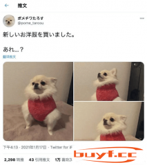 给狗子买了件新衣服(给狗子买了件新衣服怎么办)