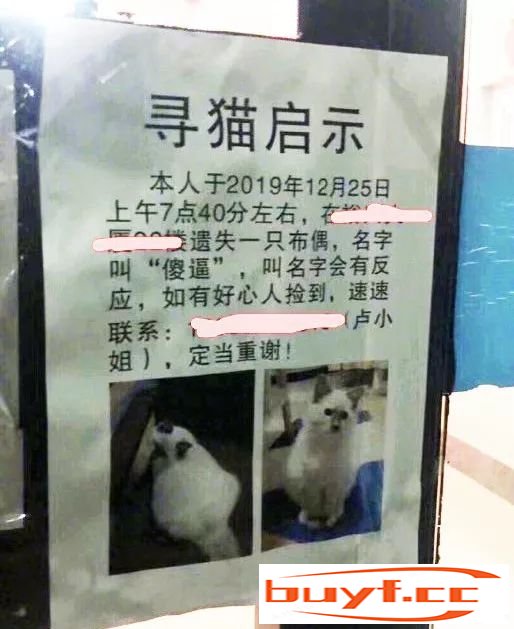 看完铲屎官设计的寻猫启事，猫走得更远了…