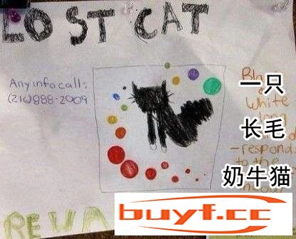 看完铲屎官设计的寻猫启事，猫走得更远了…