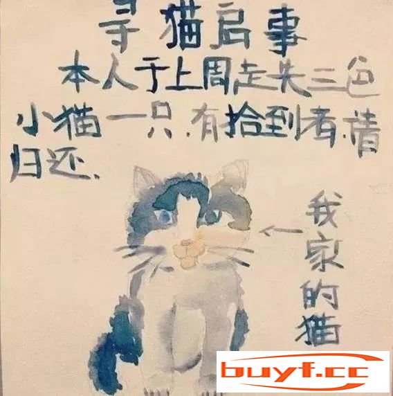 看完铲屎官设计的寻猫启事，猫走得更远了…