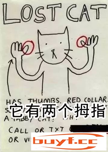 看完铲屎官设计的寻猫启事，猫走得更远了…