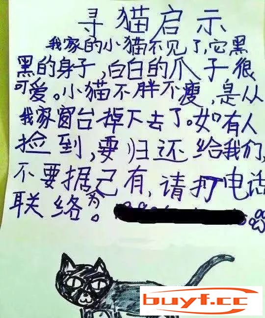 看完铲屎官设计的寻猫启事，猫走得更远了…