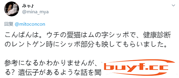 猫咪短短的小尾巴，居然还卷成了一个圈儿？