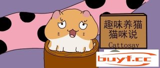 猫出生幼崽要注重甚么(猫幼崽出生为何睁没有开眼睛)