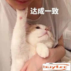 最佳养的十年夜猫咪排行(家里合适养的猫咪排行榜)