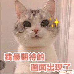 猫咪拉稀又拉血怎么办(猫咪拉稀又拉血怎么办啊)