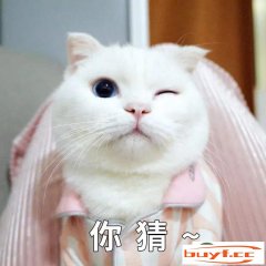 猫咪喜爱舔客人的手还咬(猫咪为何舔手还咬手)