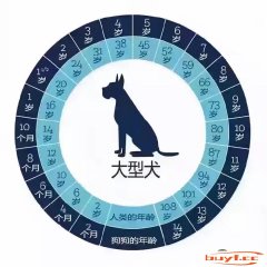 如何断定狗狗多年夜春秋(如何断定狗狗多年夜春秋发情)